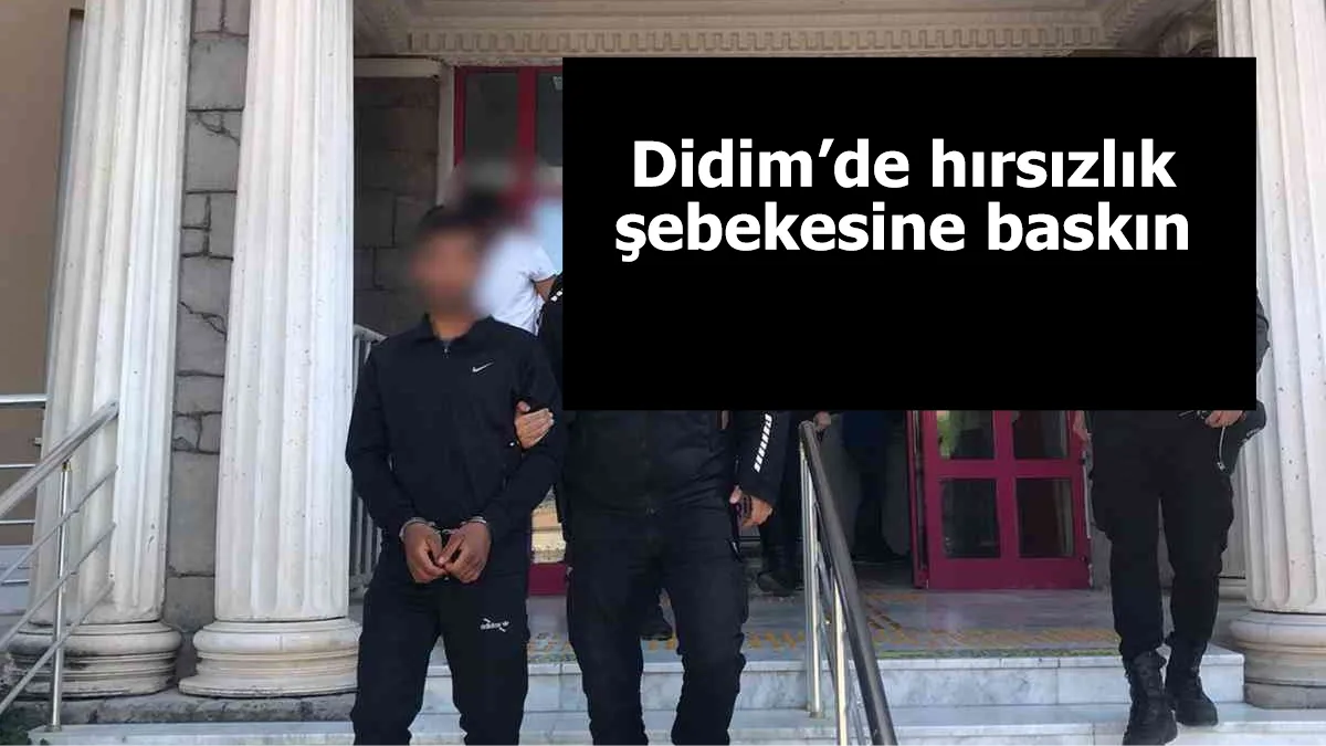 Didim’de hırsızlık şebekesine baskın