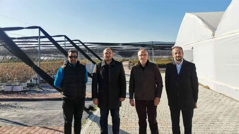 Yüzyılın sağlık meyvesi maviyemiş Sermayecik Köyünde üretilecek