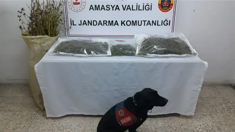 ‘Puslu’ 4 kilo uyuşturucuyu saklandığı yerde buldu