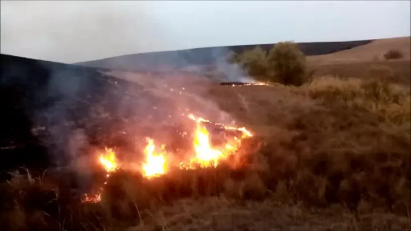 Tekirdağ’da 700 dönüm anız alev alev yandı