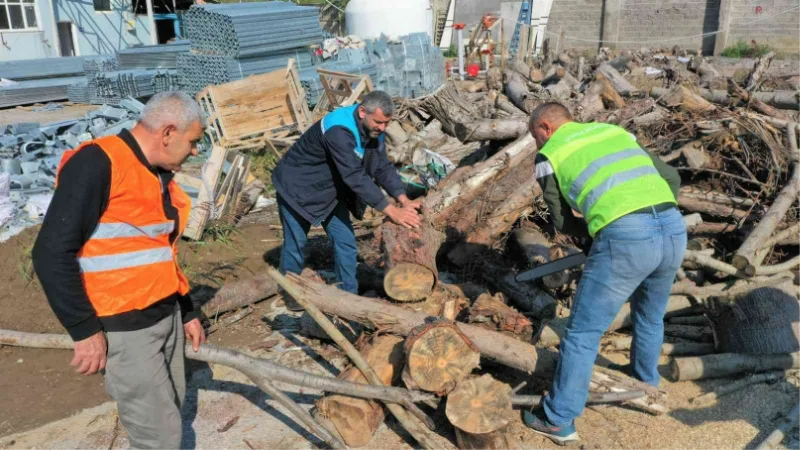 Budanan ağaçlar ihtiyaç sahiplerine yakacak oluyor