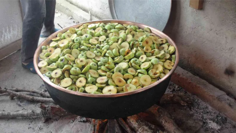 Giresun’da yılda üretilen 5 bin ton elma ekonomiye kazandırılacak