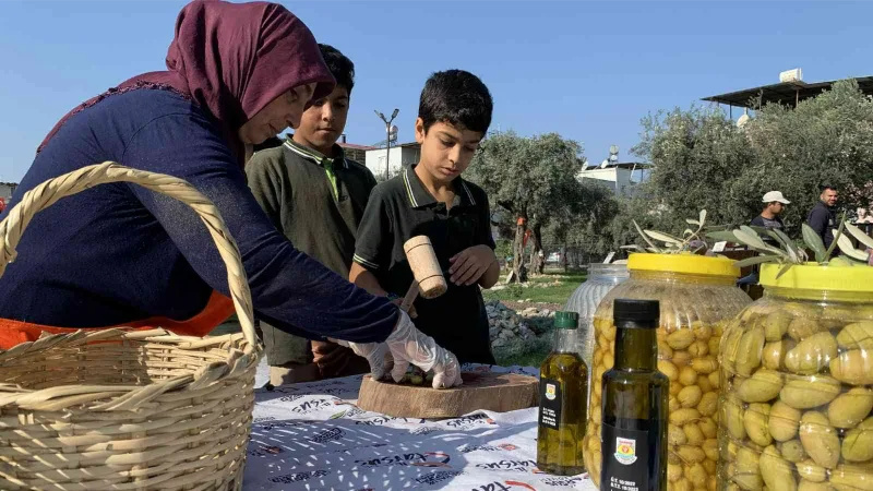 Zeytin gen bahçesi okullara ev sahipliği yapıyor