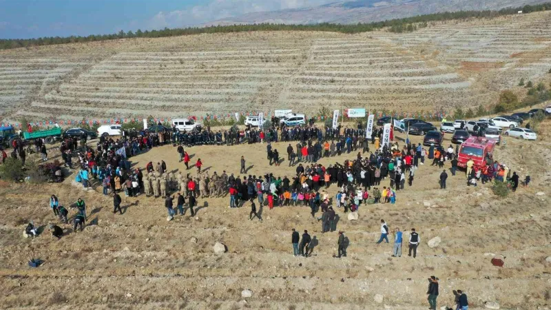 Erzincan’da 410 dönüm alanda 36 bin adet fidan toprakla buluşturuldu