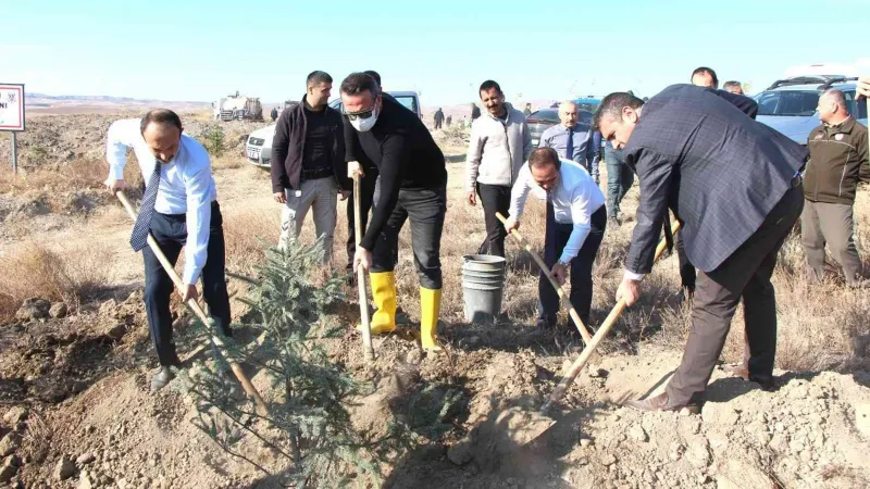 Sungurlu Adalet Ormanı’na 600 fidan dikildi