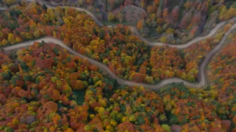 Sonbaharın tüm renklerini yansıtan Yenice ormanlarında kartpostallık görüntüler