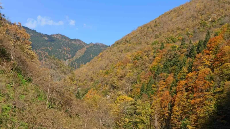 Giresun yaylalarında sonbahar esintileri