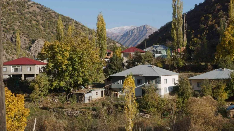 Şırnak’ın bal ormanları farklı renk tonlarıyla göz kamaştırdı