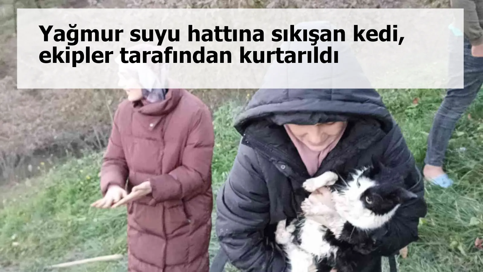 Yağmur suyu hattına sıkışan kedi, ekipler tarafından kurtarıldı