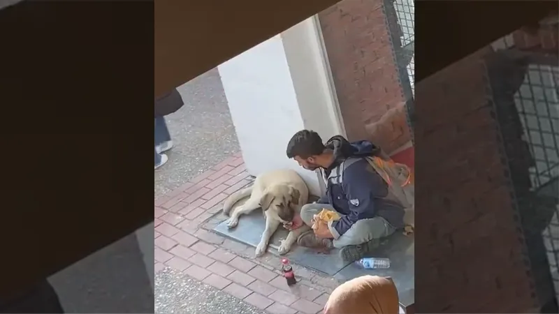 Yemeğini sokak köpeği ile paylaştı, sosyal medyada viral oldu