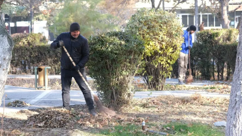 Sonbahar yaprakları toplanıp gübreye dönüştürülüyor