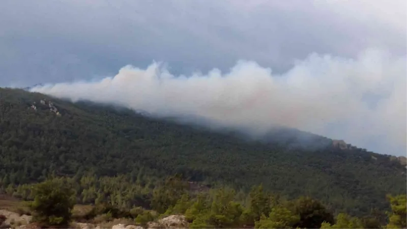 İzmir’de iki ilçede orman yangını