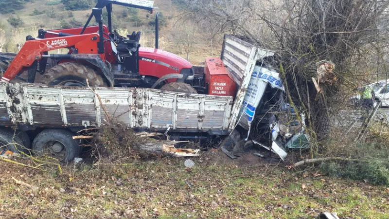 Traktör yüklü kamyon ağaca çarptı: 2 yaralı