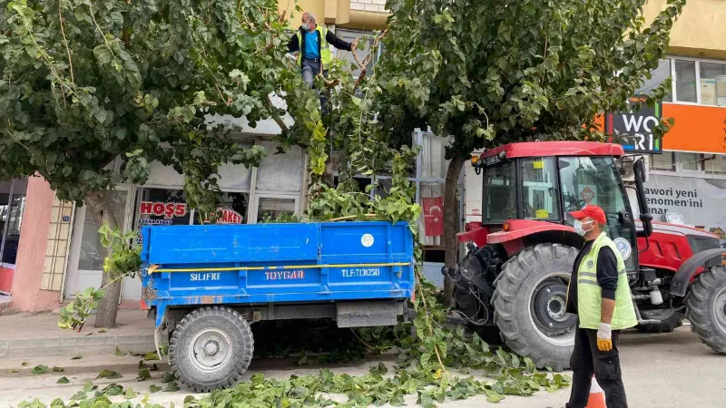 Mut’ta temizlik çalışmaları