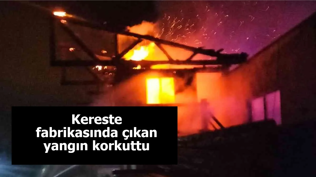 Kereste fabrikasında çıkan yangın korkuttu