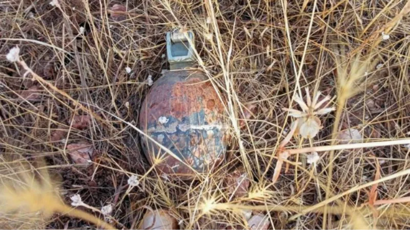 Bingöl’de el bombası ve mayın imha edildi
