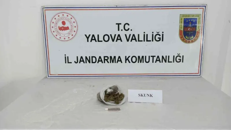 Yalova’da jandarmadan uyuşturucu operasyonları: 6 gözaltı