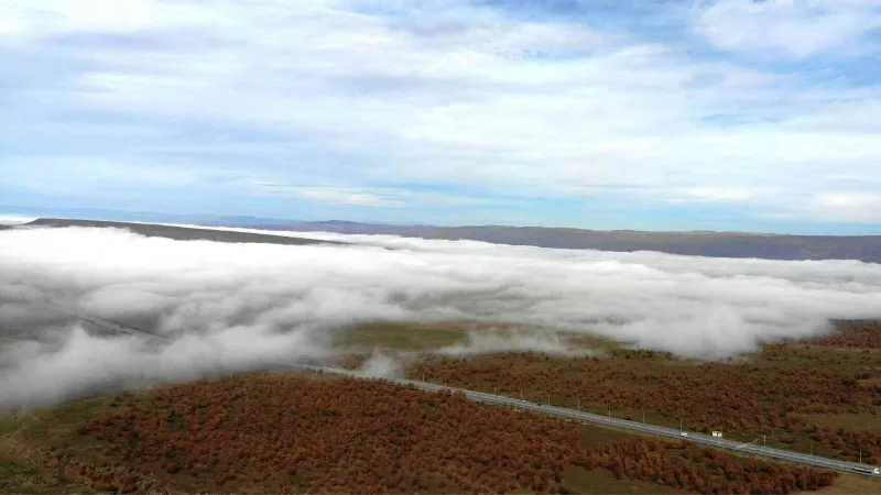 Güroymak’ta oluşan sis bulutu görsel şölen sunuyor