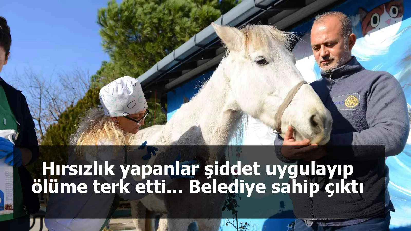 Hırsızlık yapanlar şiddet uygulayıp ölüme terk etti... Belediye sahip çıktı