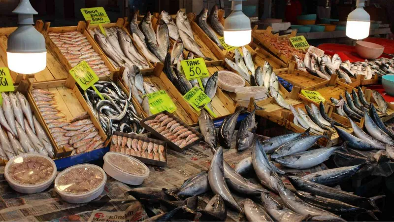 Bandırma’da balık fiyatları lodos ve soğuk hava nedeniyle yükseldi