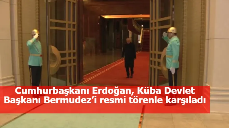 Cumhurbaşkanı Erdoğan, Küba Devlet Başkanı Bermudez’i resmi törenle karşıladı