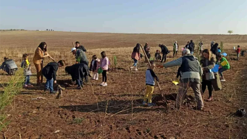 Dicle Üniversitesi 750 ağaç ile yeşillendirildi