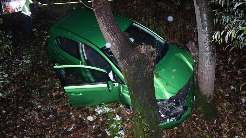 Şarampole yuvarlanan otomobil ağaca çarparak durabildi: 2 yaralı