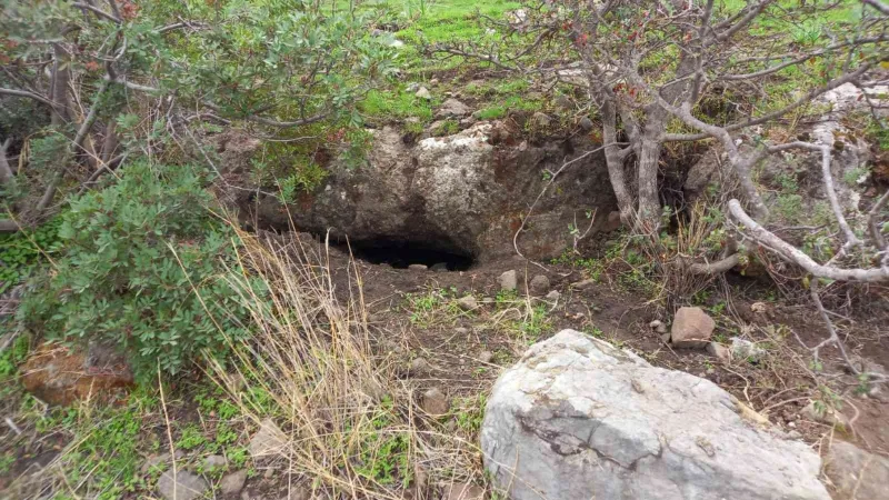 Bodrum’da kaçak kazıya baskın: 2 gözaltı