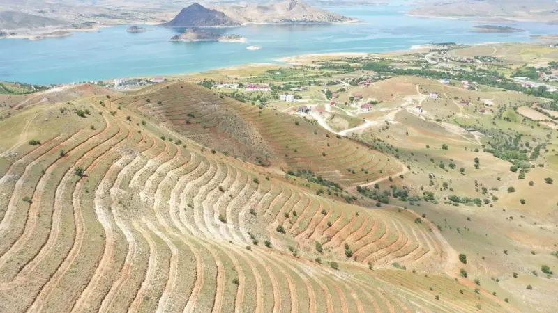 Tunceli’de 56 bin fidan toprakla buluştu