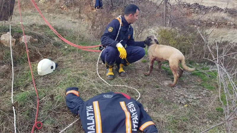 Kuyuya düşen köpek için zamanla yarıştılar