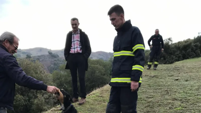 Uçuruma düşen köpeği itfaiye kurtardı