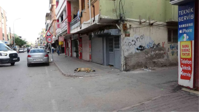 Motosikletli polis aracına çarptı, sürücünün havalanıp düşme anı kameraya yansıdı