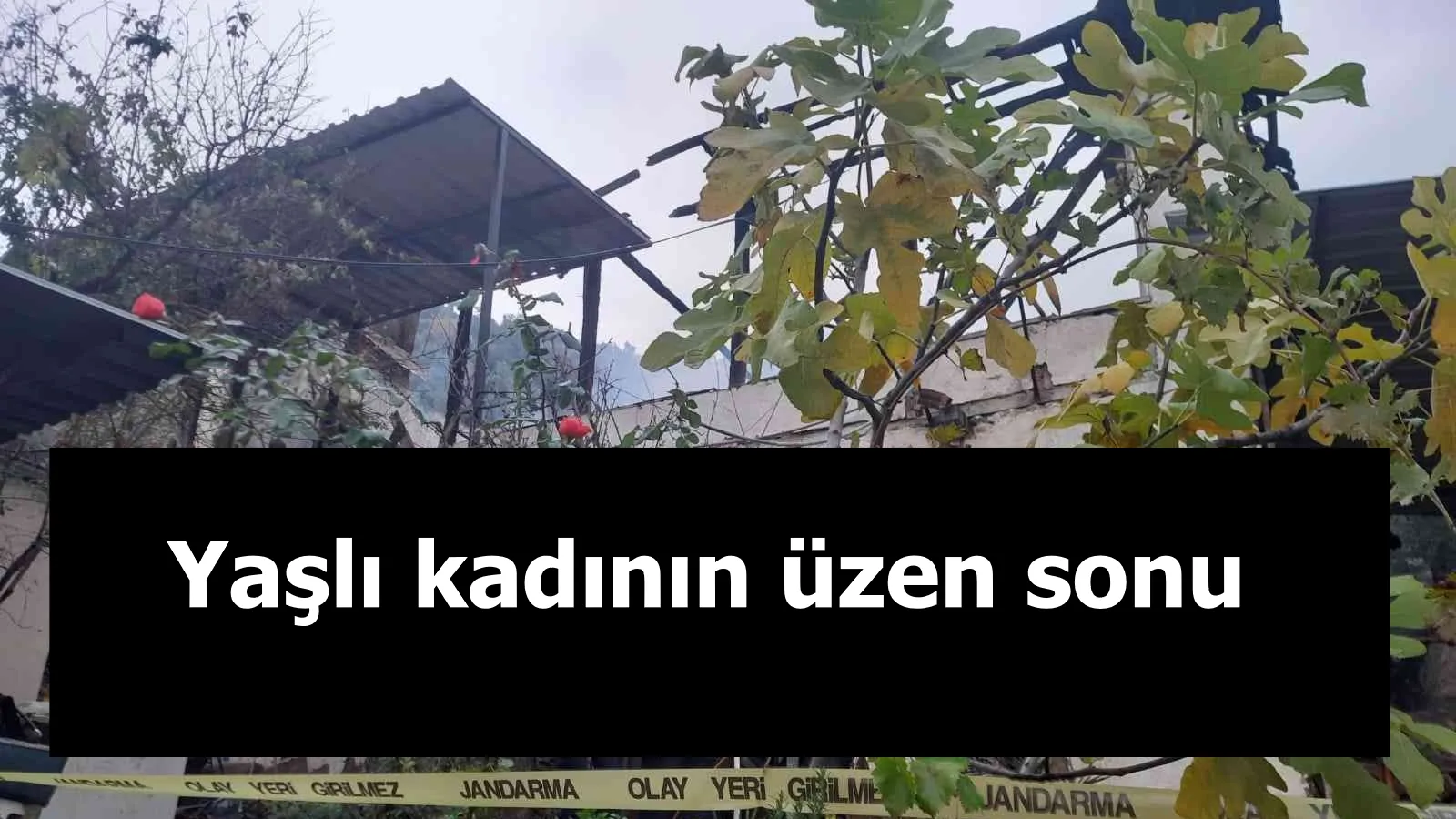 Yaşlı kadının üzen sonu