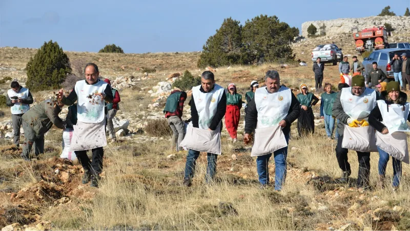 70 bin kilogram sedir tohumu toprakla buluştu