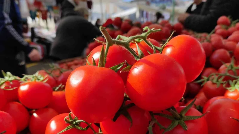 İstanbul’da Kasım ayında en çok domates pahalandı