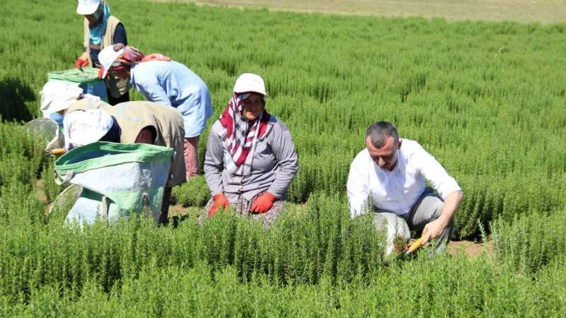 Tarıma katkı sağlayacak iş birliği