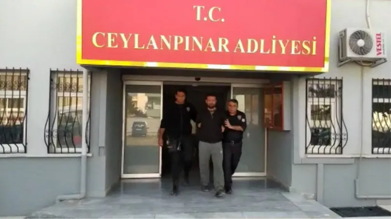 Eşine kalkan olmak isteyen polise saldırdı