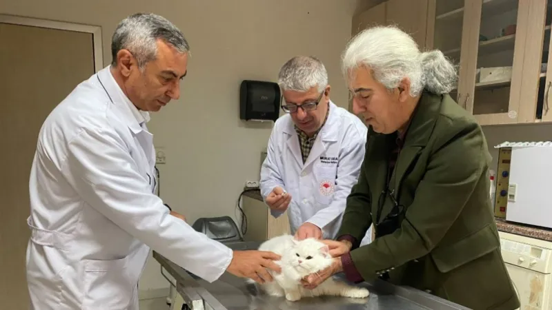 Parıldar’dan sahipli kedi ve köpekler için çip zorunluluğu uyarısı