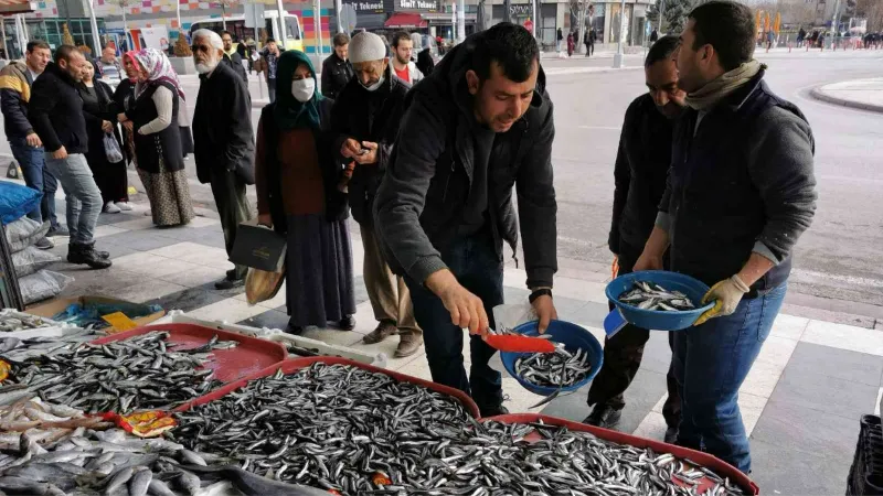 Tezgahlardaki balık bolluğu esnaf ve vatandaşın yüzünü güldürdü