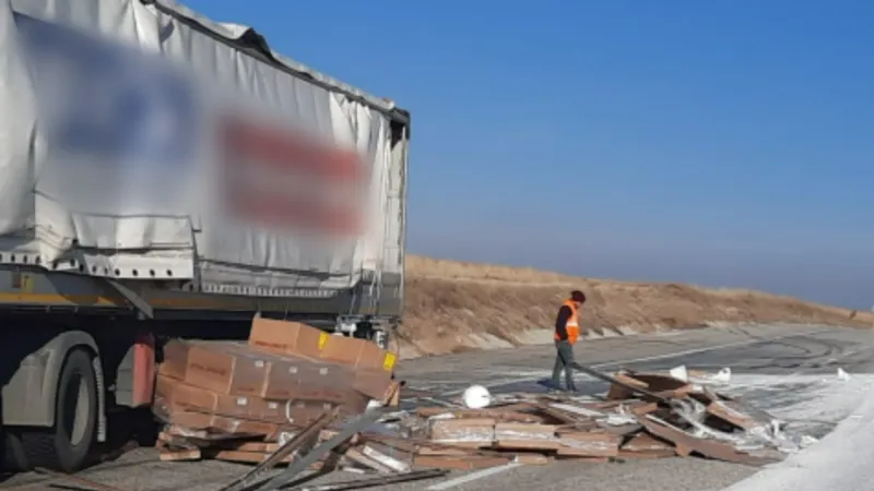 Köpeğe çarpmamak için manevra yapan tırdaki malzemeler yola düştü