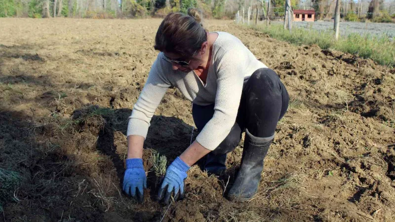 Kurduğu lavanta bahçesiyle arkadaşına örnek oldu