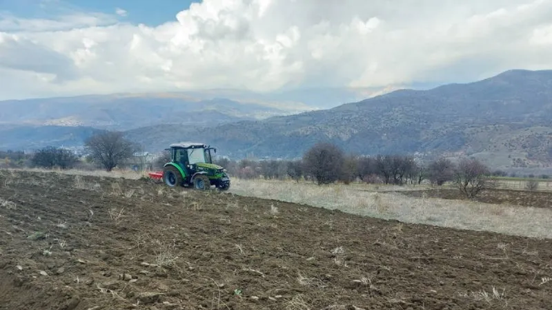 Boş tarım arazileri siyez buğdayı ile buluşuyor