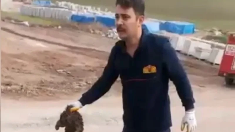 Osmaniye’de kanalizasyona düşen köpek kurtarıldı