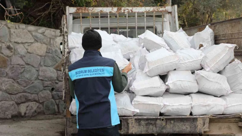 Belediyeden vatandaşlara yakacak desteği