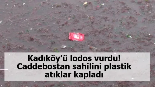 Kadıköy’ü lodos vurdu! Caddebostan sahilini plastik atıklar kapladı