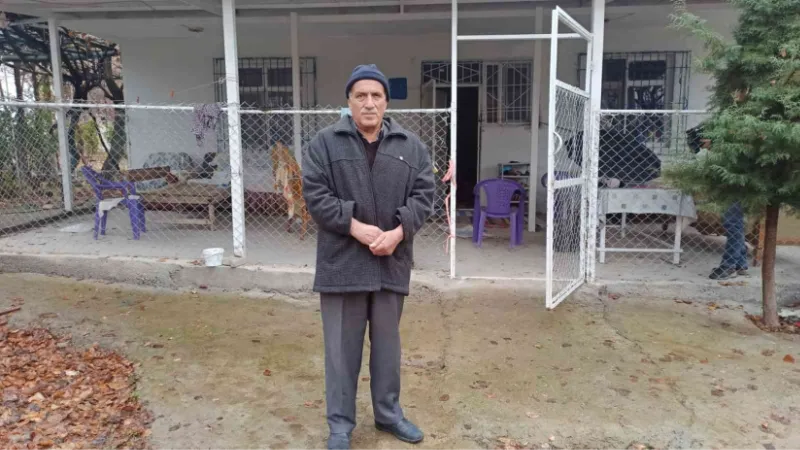 Yazlığa dadan hırsızlar korkulu rüyaları oldu