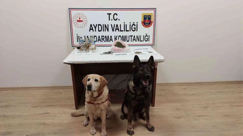 Koçarlı’da uyuşturucu satıcılarına operasyon