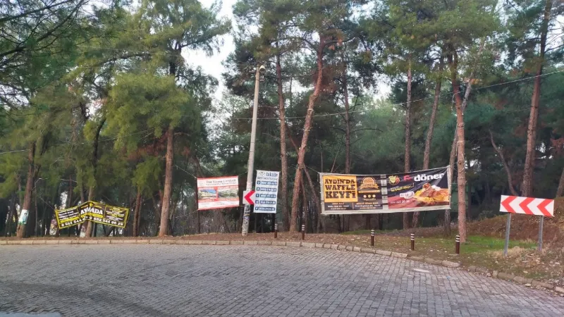 Aytepe varyantındaki ağaçlar reklam panosuna döndü