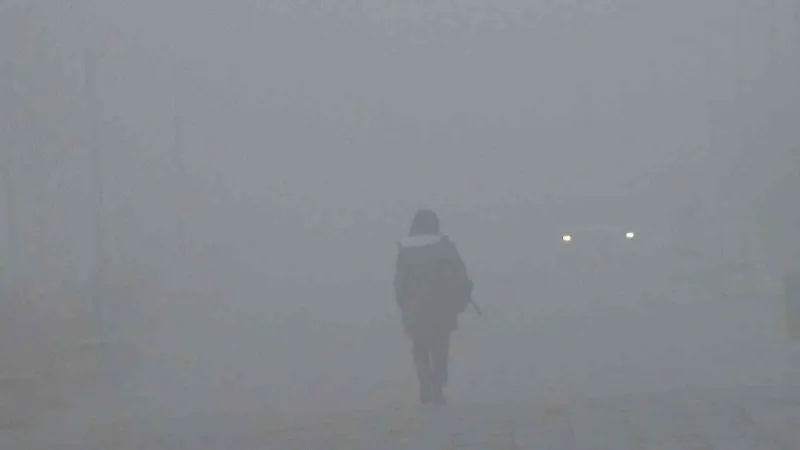 Kars’ta sis hayatı olumsuz etkiliyor