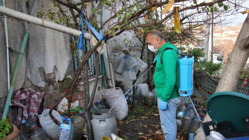 Yalova Belediyesi’nden larva noktalarına ilaçlama